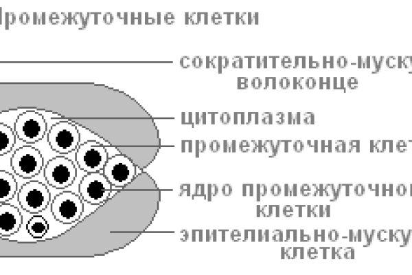 Рабочие ссылки и зеркала кракен